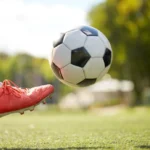 Rozkład jazdy 20-23.12.2024